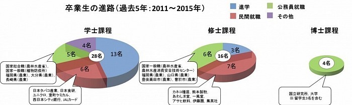 卒業生の進路（2011〜2015年）